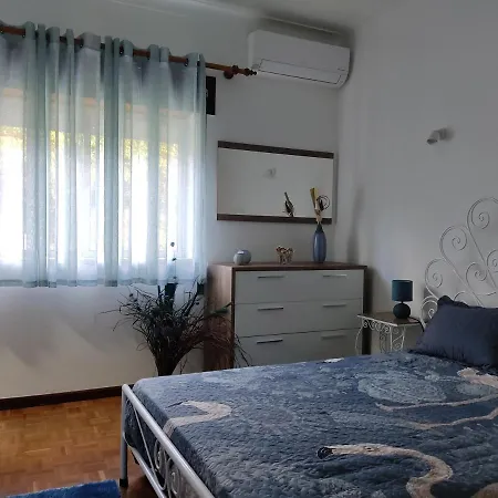 Casa Dos Avos * Vouzela