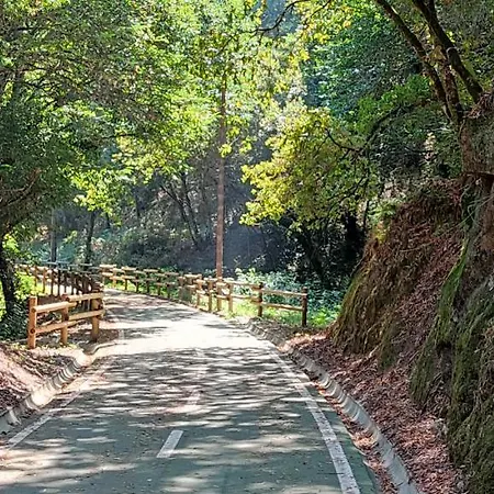 Casa Dos Avos * Vouzela