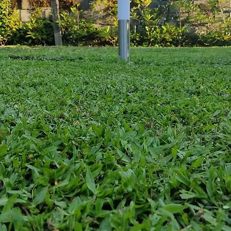 Casa Dos Avos Holiday home Vouzela