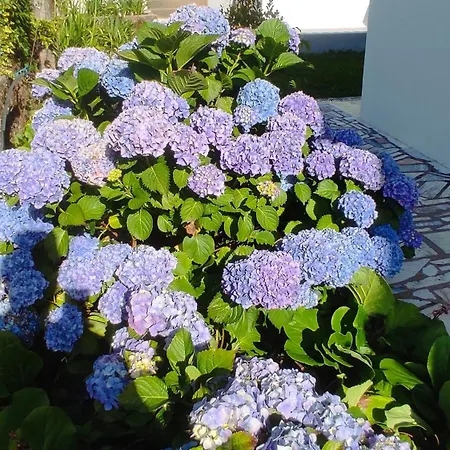 Casa de Férias Casa Dos Avós *