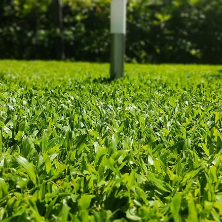 Casa Dos Avós Vouzela