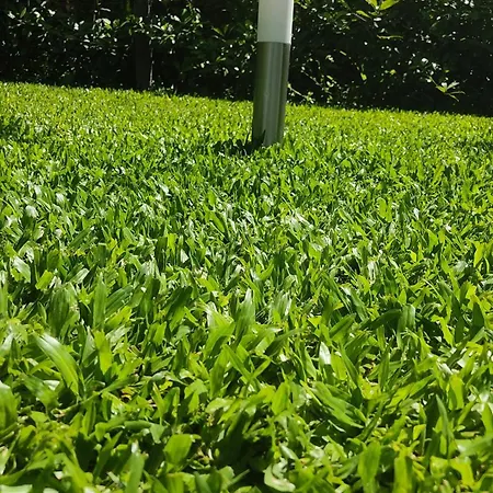 Casa Dos Avos بيت للعطل فوزيلا