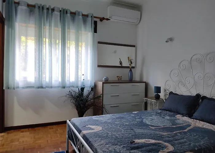 Casa Dos Avos * Vouzela