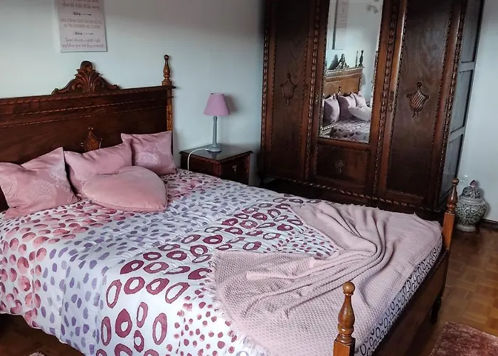 Casa Dos Avos Semesterbostad Vouzela