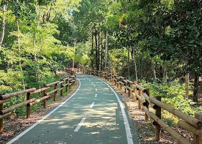 Casa Dos Avos Vouzela