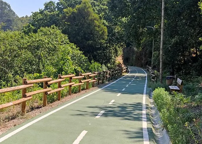 Casa Dos Avos Vouzela