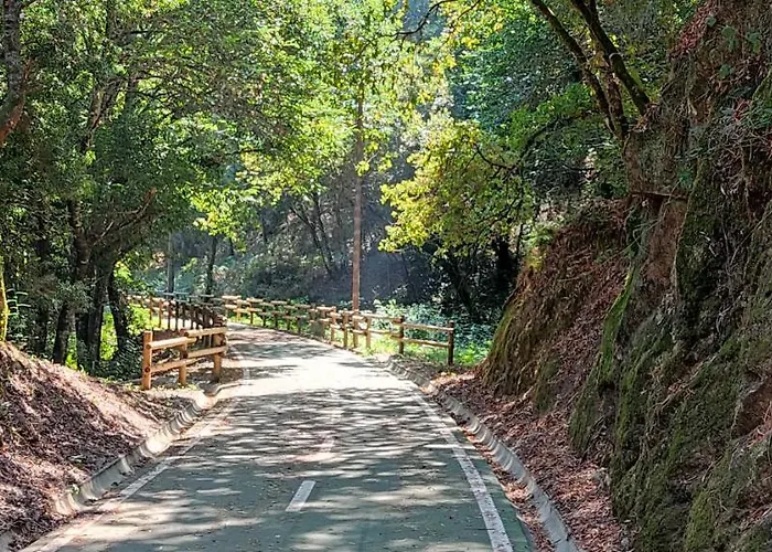 Casa Dos Avos * Vouzela