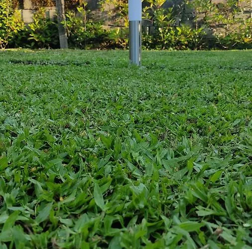 Casa Dos Avos Hébergement de vacances Vouzela