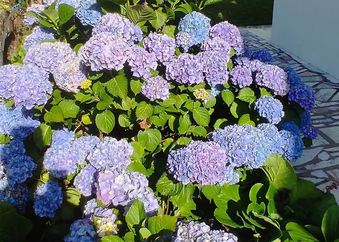 Hébergement de vacances Casa Dos Avos *