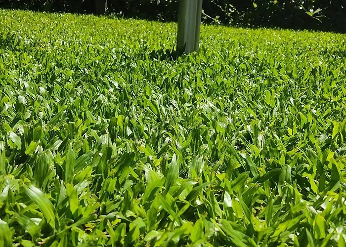 Casa Dos Avos Hébergement de vacances Vouzela